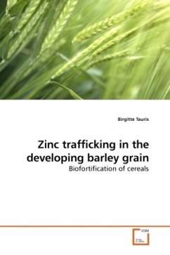 Zinc trafficking in the developing barley grain - Tauris, Birgitte