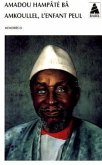 Amkoullel, l' enfant peul