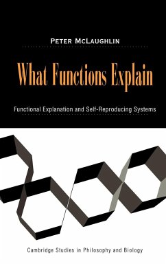 What Functions Explain - McLaughlin, Peter Jr.