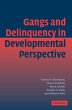 Gang Delinquency Develop Perspectve - Bild 1