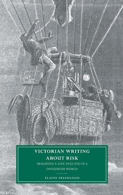 Victorian Writing about Risk - Freedgood, Elaine