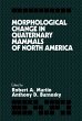 Morphological Change in Quaternary... - Bild 1