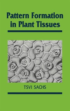 Pattern Formation in Plant Tis - Sachs, Tsvi