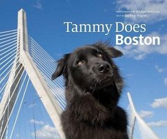 Tammy Does Boston - Hughes, Judith E.