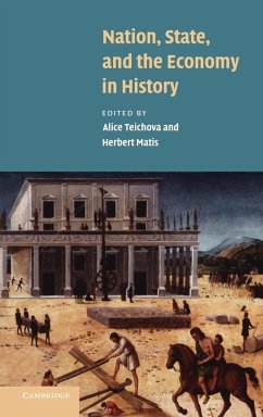 Nation, State and the Economy in History - Teichova, Alice / Matis, Herbert (eds.)