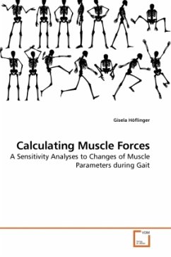 Calculating Muscle Forces - Höflinger, Gisela
