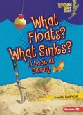 What Floats? What Sinks?