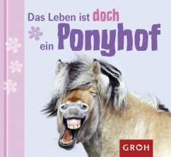 Das Leben ist doch ein Ponyhof - Lechner, Klara S.