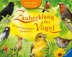 Zauberklang der Vögel / Pop-up Buch - Davies, Val