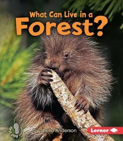 What Can Live in a Forest? - Anderson, Sheila