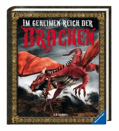 Im geheimen Reich der Drachen - Caldwell, S. A.