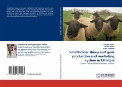 Smallholder sheep and goat production and marketing system in Ethiopia