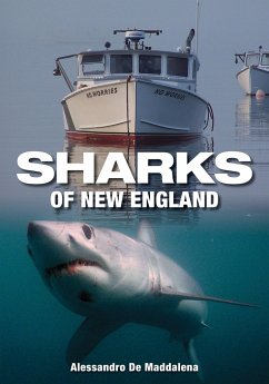Sharks of New England - Maddalena, Alessandrao De