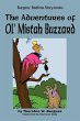 The Adventures of Ol' Mistah Buzzard - Bild 1