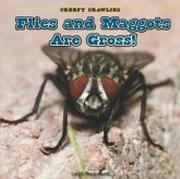 Flies and Maggots Are Gross!