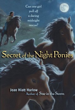 Secret of the Night Ponies - Harlow, Joan Hiatt