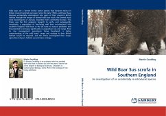 Wild Boar Sus scrofa in Southern England - Goulding, Martin