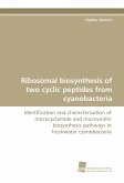 Ribosomal biosynthesis of two cyclic peptides from cyanobacteria