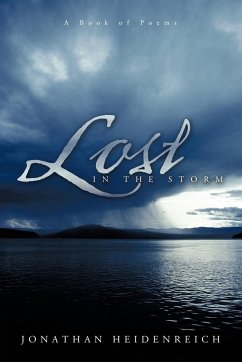 Lost in the Storm - Jonathan Heidenreich, Heidenreich; Jonathan Heidenreich