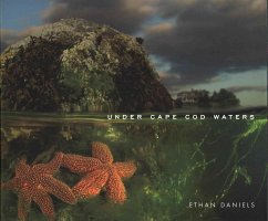 Under Cape Cod Waters - Daniels, Ethan