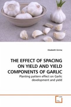 THE EFFECT OF SPACING ON YIELD AND YIELD COMPONENTS OF GARLIC - Girma, Elzabeth