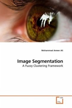 Image Segmentation - Ameer Ali, Mohammad