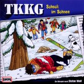 Schock im Schnee / TKKG Bd.170 (1 Audio-CD)