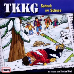 Schock im Schnee / TKKG Bd.170 (1 Audio-CD) - Wolf, Stefan