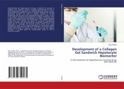 Development of a Collagen Gel Sandwich Hepatocyte Bioreactor