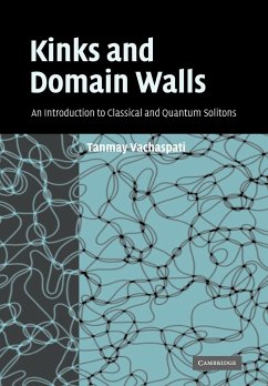Kinks and Domain Walls - Vachaspati, Tanmay; Tanmay, Vachaspati