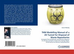 THM Modelling Manual of a 2D Tunnel for Disposal of Waste Repositories - Yildizdag, Kemal