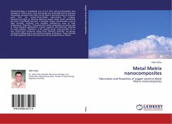Metal Matrix nanocomposites