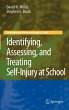 Identifying, Assessing, and Treating... - Bild 1