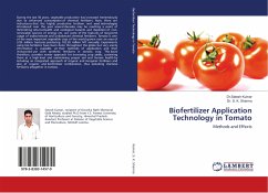 Biofertilizer Application Technology in Tomato