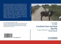 Crossbred Cows and Food Security