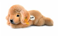 Steiff's kleiner Freund Golden Retriever-Welpe Lumpi, goldblond