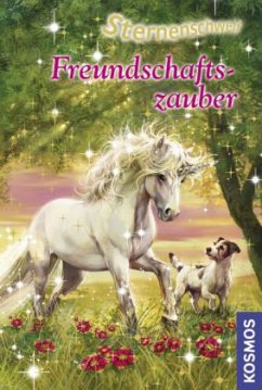Freundschaftszauber / Sternenschweif Bd.25 - Chapman, Linda