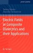 Electric Fields in Composite... - Bild 1