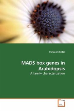 MADS box genes in Arabidopsis - de Folter, Stefan