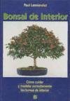 Bonsai de interior : cómo cuidar y modelar correctamente los bonsai de interior