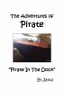 The Adventures of Pirate - Pirate in... - Bild 1
