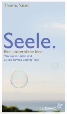Cover Seele. Eine unsterbliche Idee