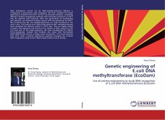 Genetic engineering of E.coli DNA methyltransferase (EcoDam)