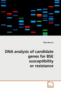 DNA analysis of candidate genes for BSE susceptibility or resistance - Morina, Rifat