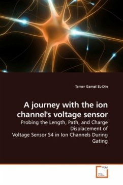 A journey with the ion channel's voltage sensor - Gamal EL-DIn, Tamer