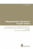 Magnetization Dynamics in Spin Valves