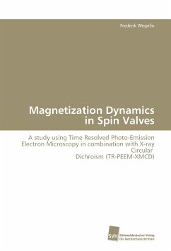 Magnetization Dynamics in Spin Valves - Wegelin, Frederik