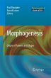 Morphogenesis - Bild 1