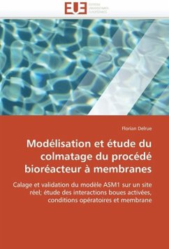 Modelisation Et Etude Du Colmatage Du Procede Bioreacteur a Membranes - Delrue, Florian