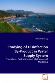 Studying of Disinfection By-Product in Water Supply System